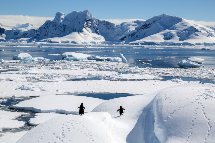 antartica landscape